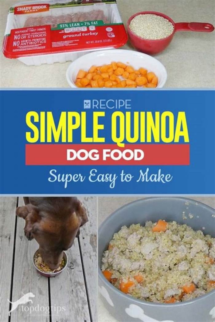 homemade dog food recipes with quinoa