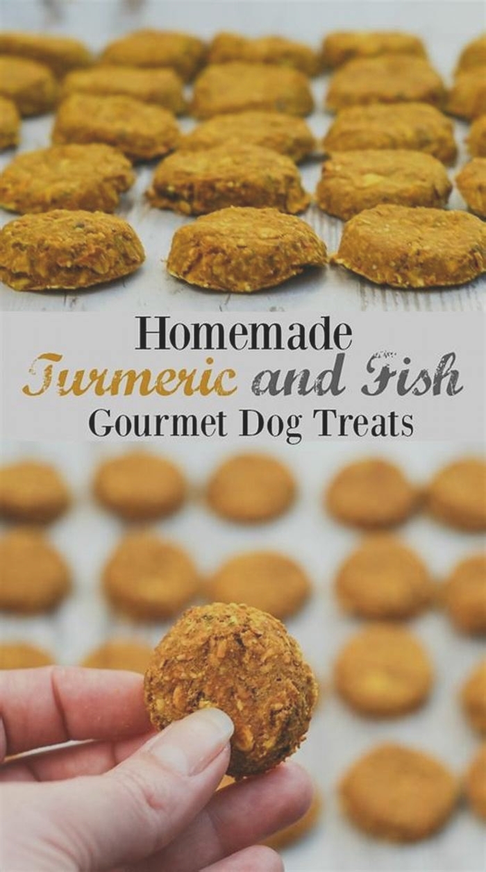 homemade dog food recipes with turmeric