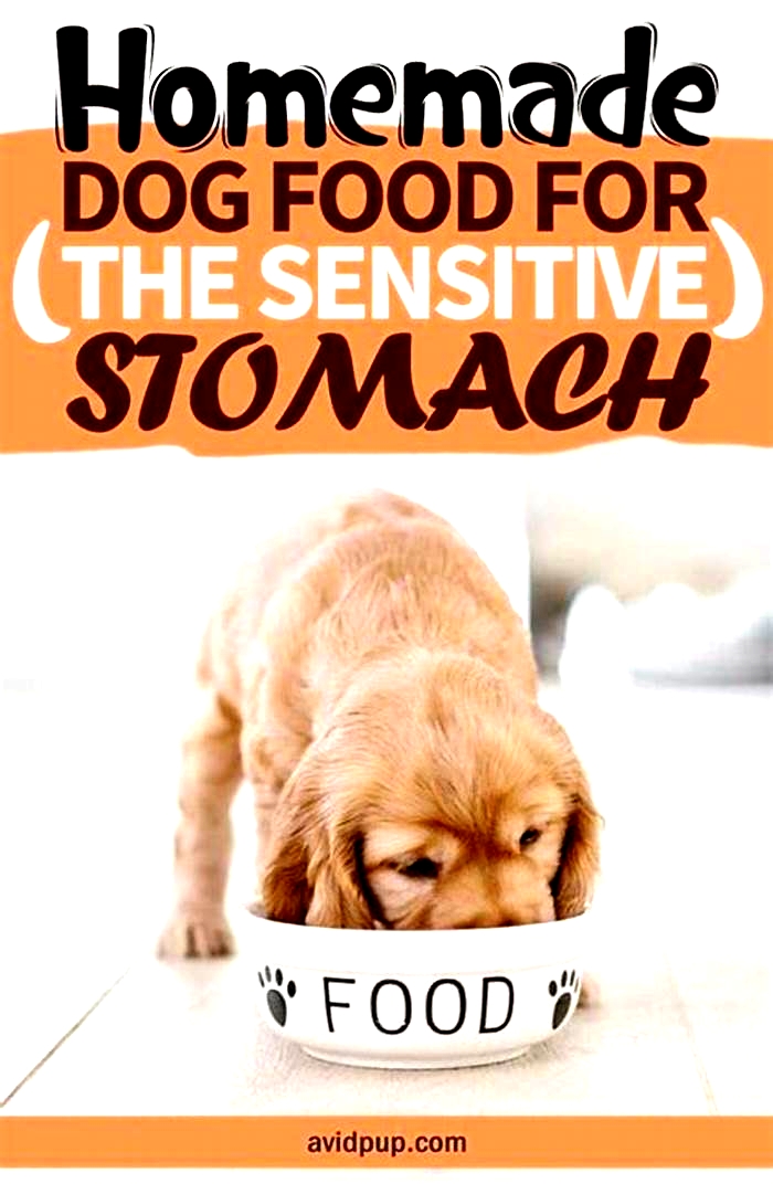 homemade dog food sensitive stomach