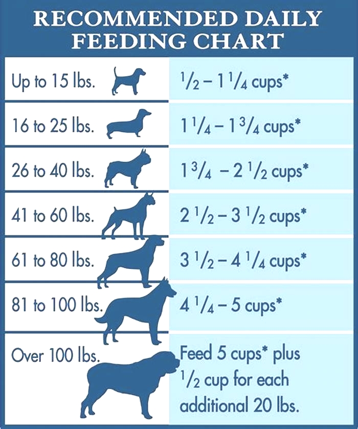 homemade dog food serving size calculator