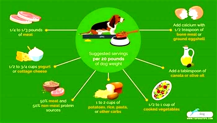 homemade dog food serving size chart