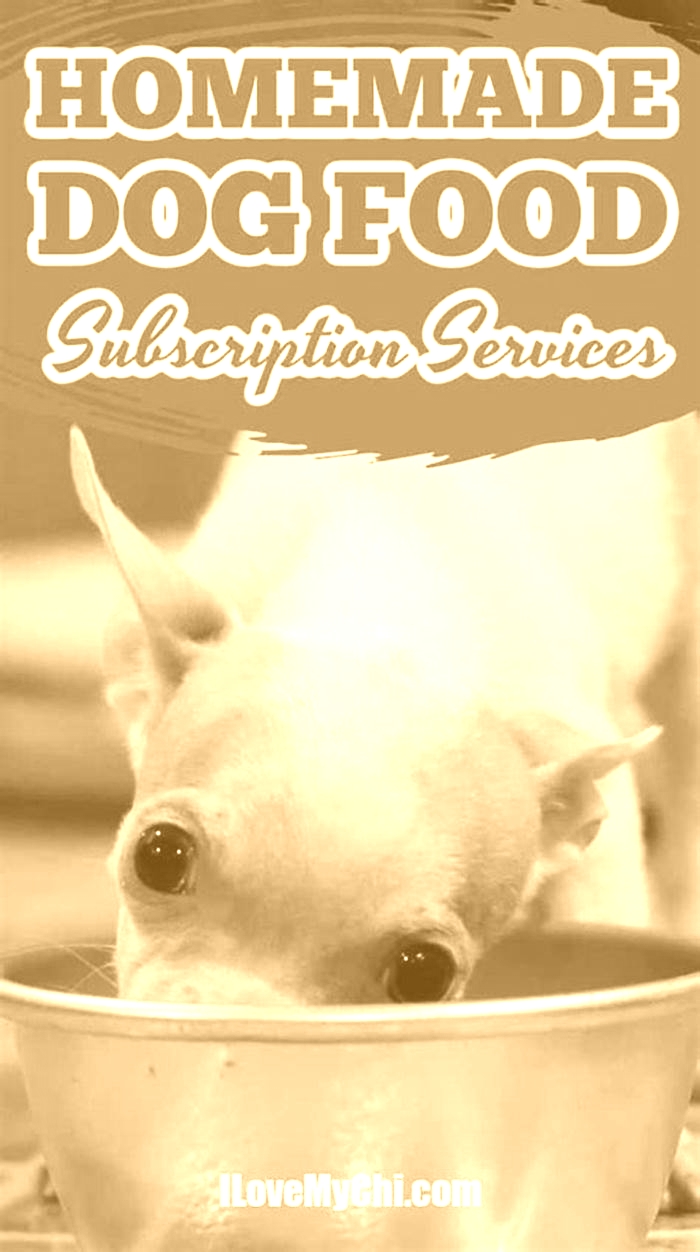 homemade dog food subscription