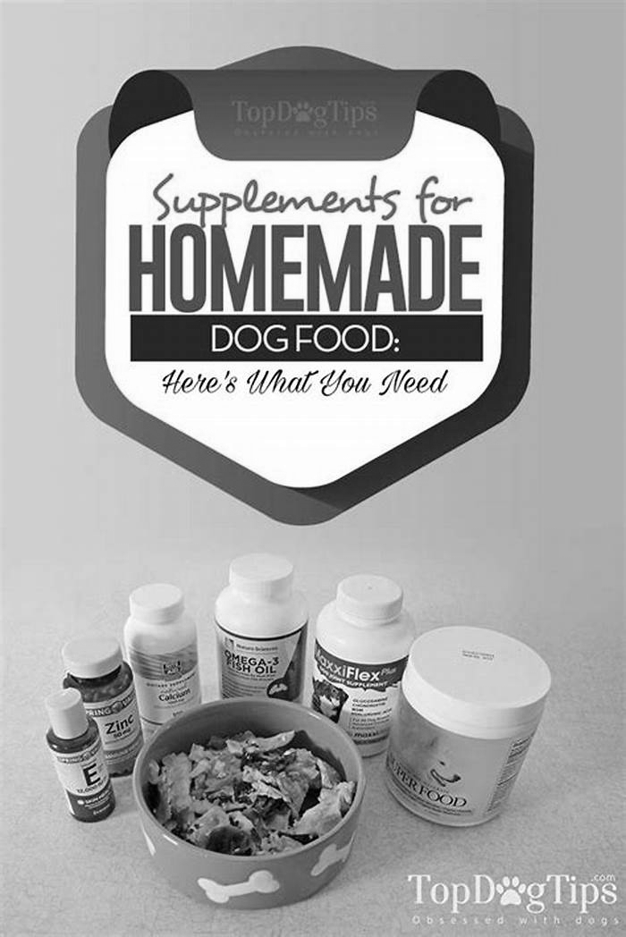 homemade dog food supplement powder