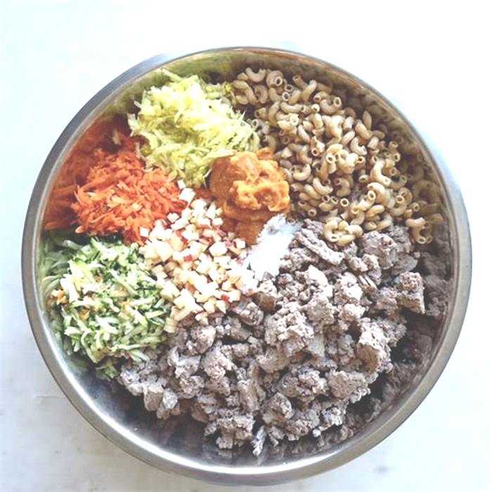 homemade dog food that is healthy