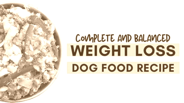 homemade dog food to lose weight