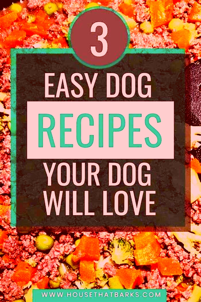 homemade dog food topper recipes