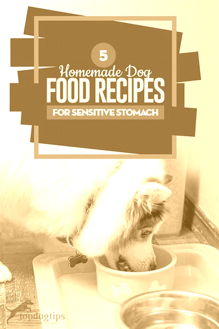 homemade dog food toppers for sensitive stomach