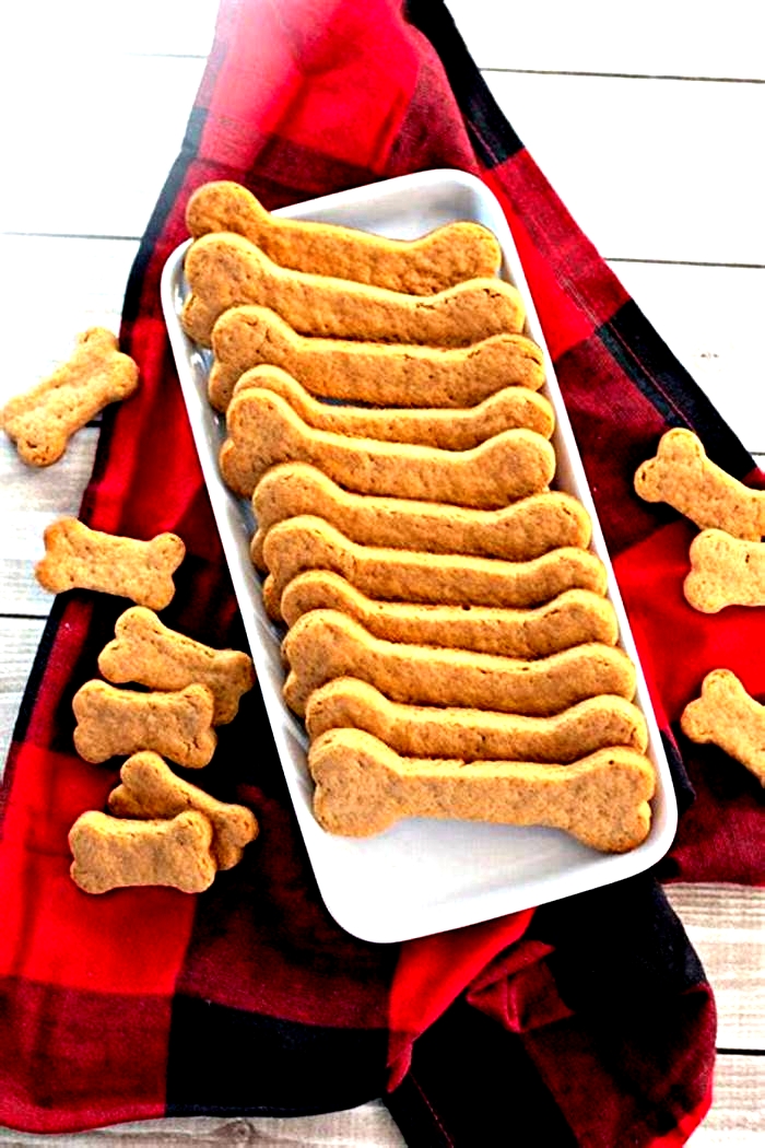 homemade dog food treats