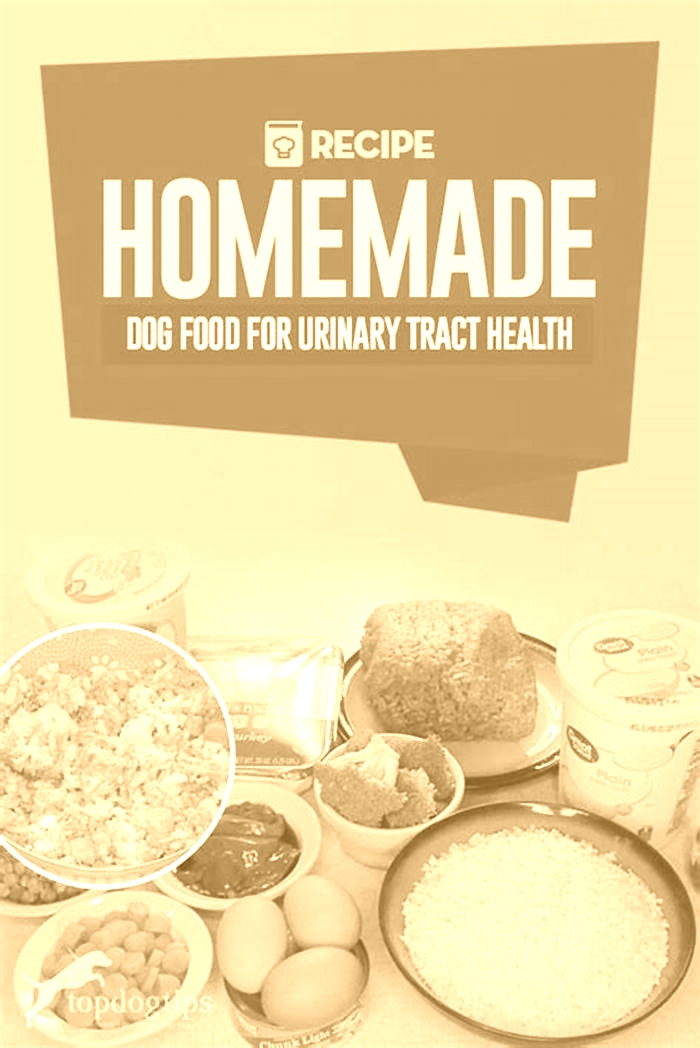 homemade dog food urinary diet