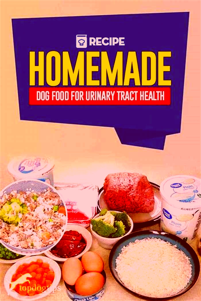 homemade dog food urinary health