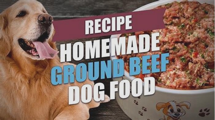 homemade dog food using ground beef