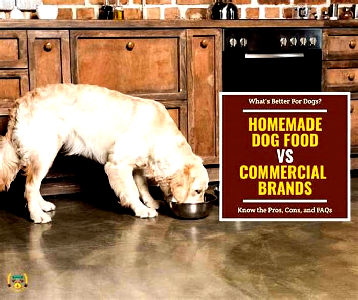 homemade dog food vs commercial