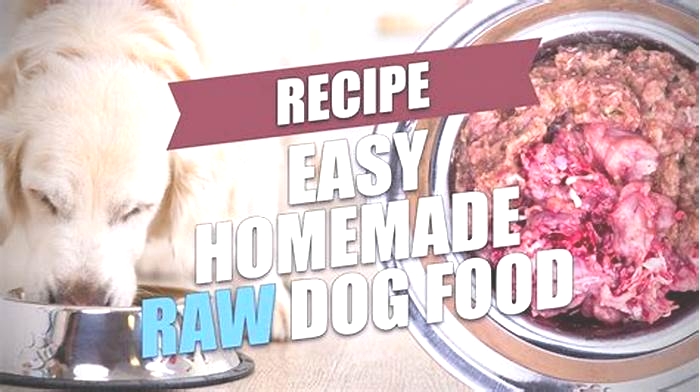 homemade dog food vs raw diet