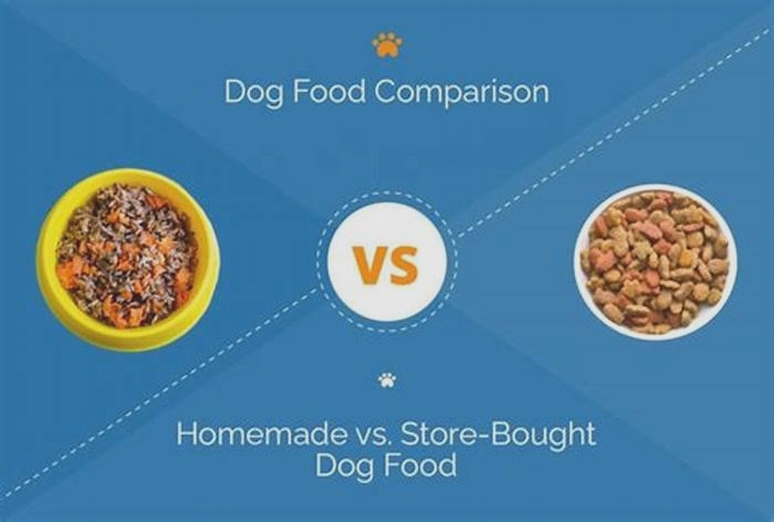 homemade dog food vs store bought