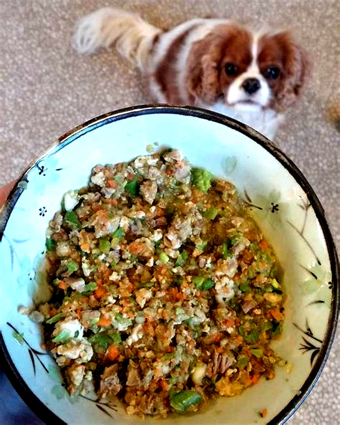 homemade dog food with chicken hearts