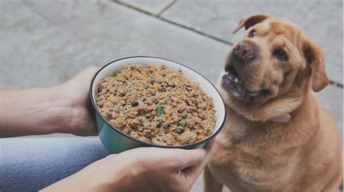 homemade dog food with chicken