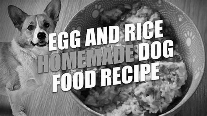 homemade dog food with eggs