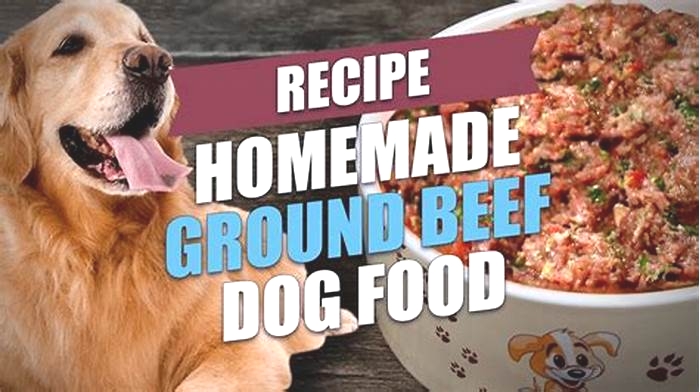 homemade dog food with ground beef