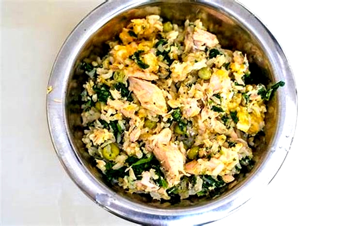 homemade dog food with salmon