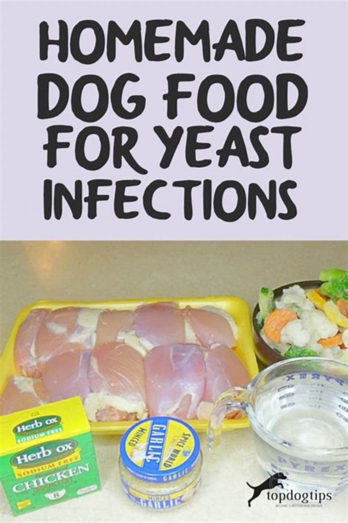 homemade dog food yeast infections