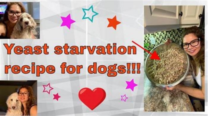 homemade dog food yeast starvation