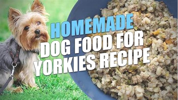 homemade dog food yorkie