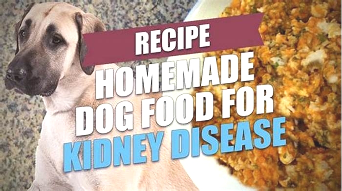 homemade dog renal diet