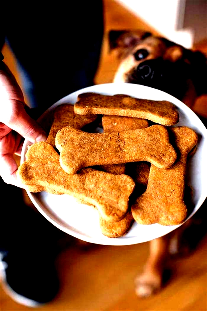 homemade dog treats for itchy skin