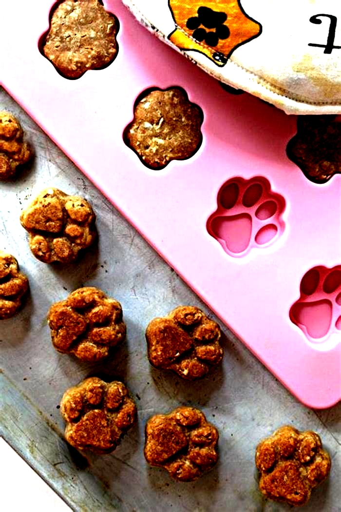 homemade healthy dog chews