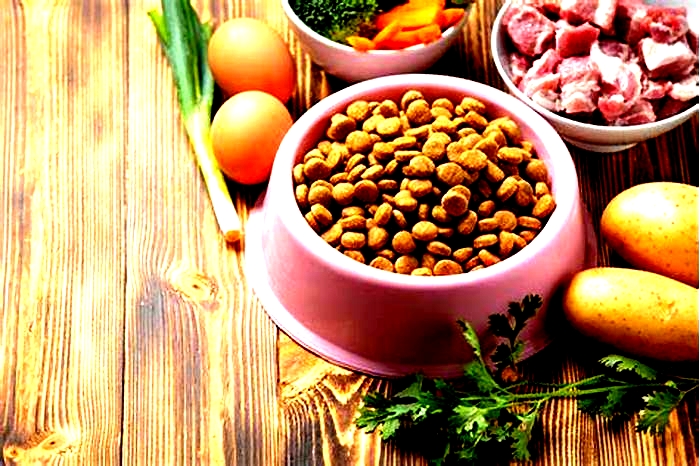 homemade hydrolyzed protein cat food