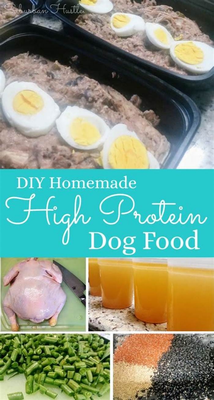 homemade novel protein diet for dogs