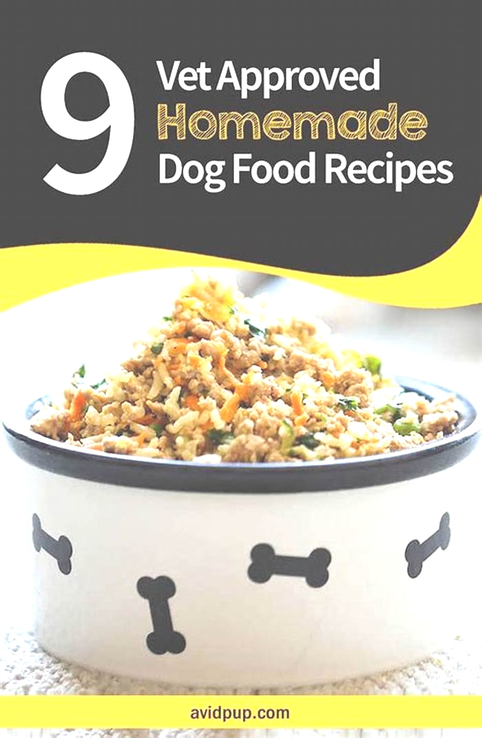 homemade raw dog food recipes vet approved