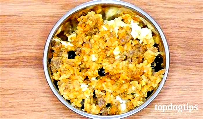 homemade senior dog food