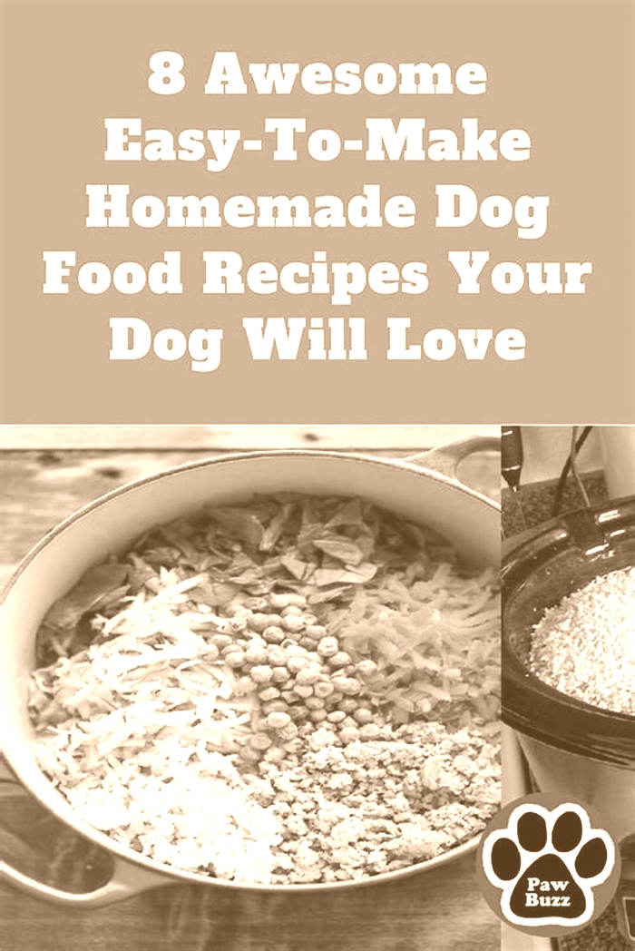 how do you make healthy dog food at home