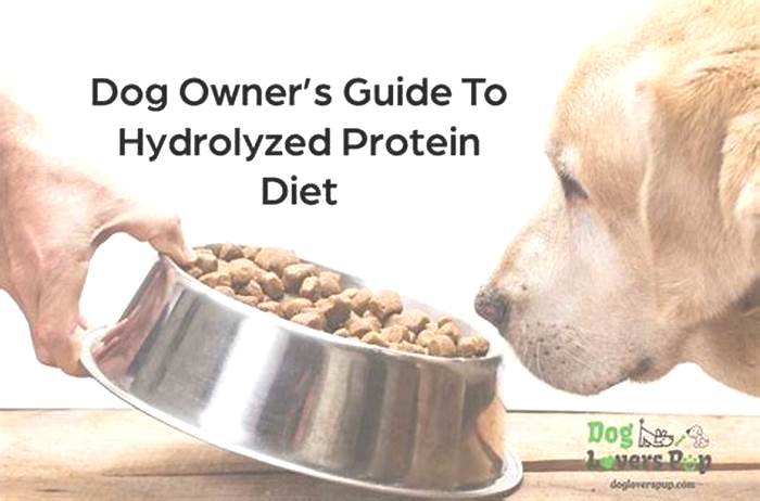 how long can a dog be on hydrolyzed protein