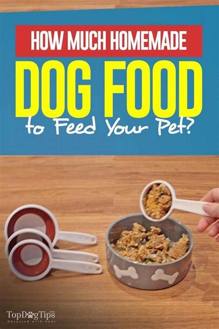 how much homemade dog food per day