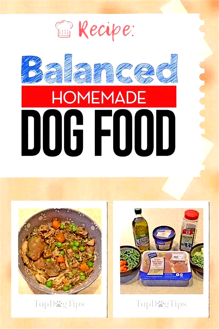 how to make a balanced homemade dog food