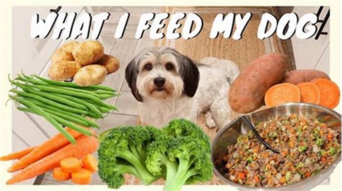 how to make a healthy dog meal