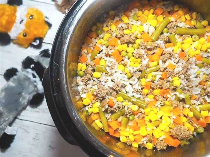 how to make homemade dog food cheap