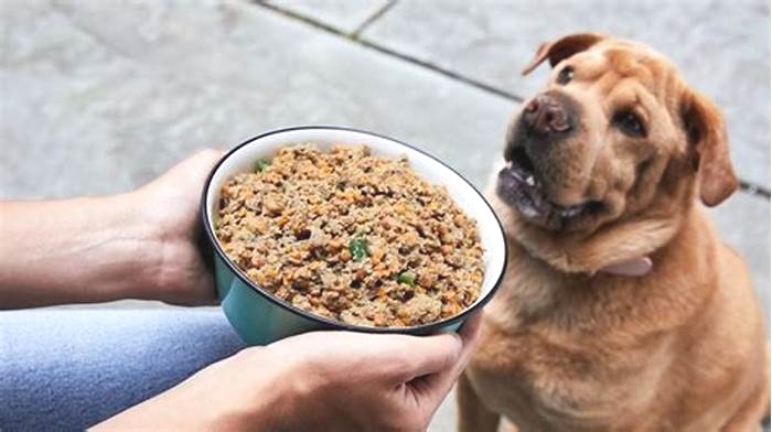 how to make homemade dog food with chicken