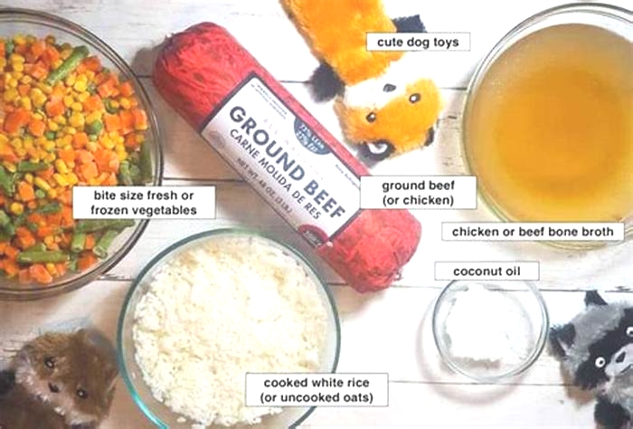 how to make homemade dog food