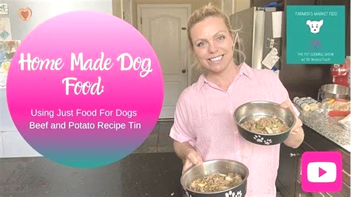 how to make just food for dogs