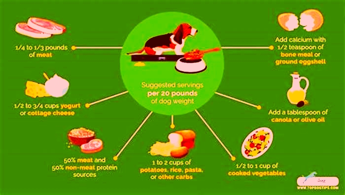 how to measure homemade dog food