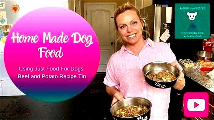 how to prepare just food for dogs