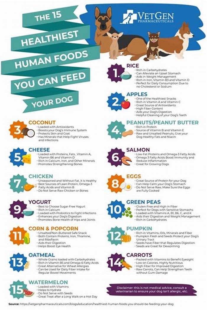 human food good for dogs digestion