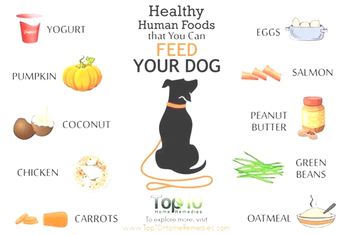 human food good for dogs joints