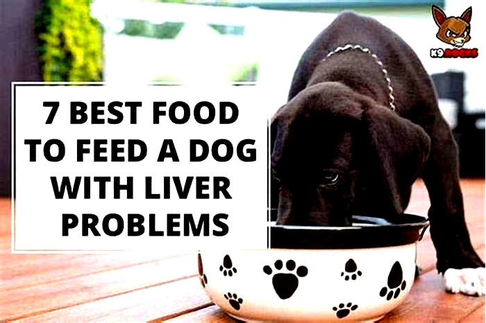 human food good for dogs liver