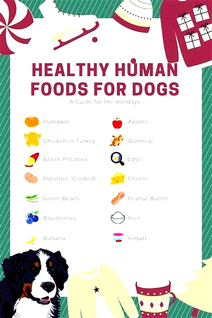 human foods good for dogs list