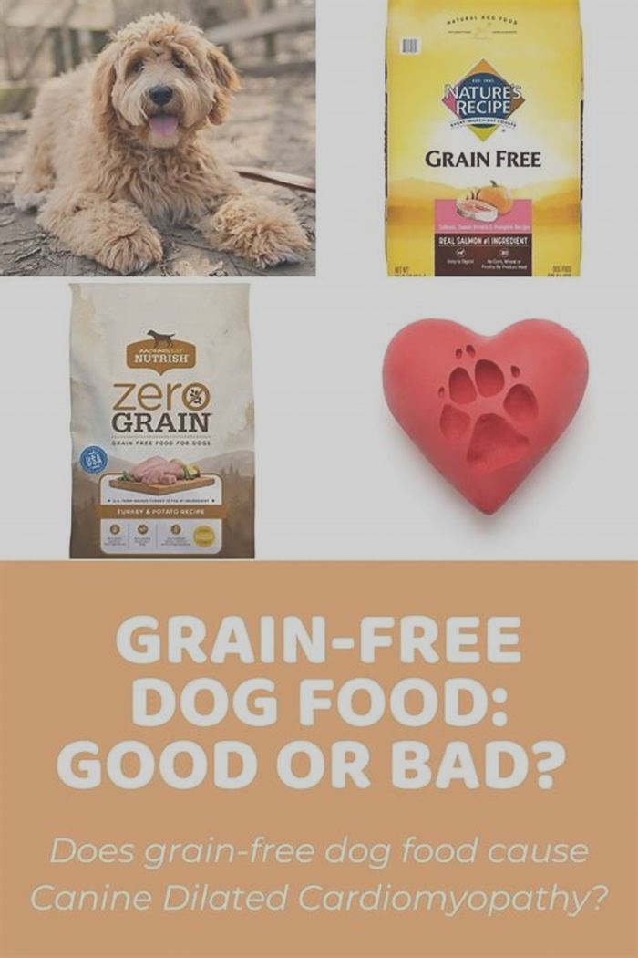 Is grain-free better for dogs with digestive issues?