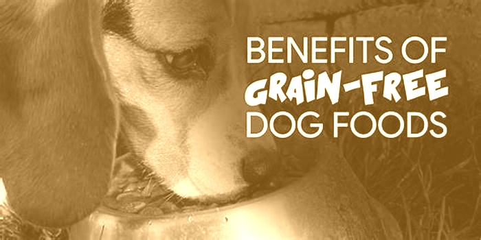 Is it really healthier for a dog to eat grain free?